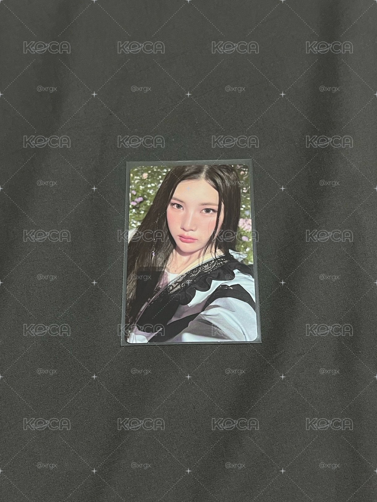 Focus sm預售 Juun 