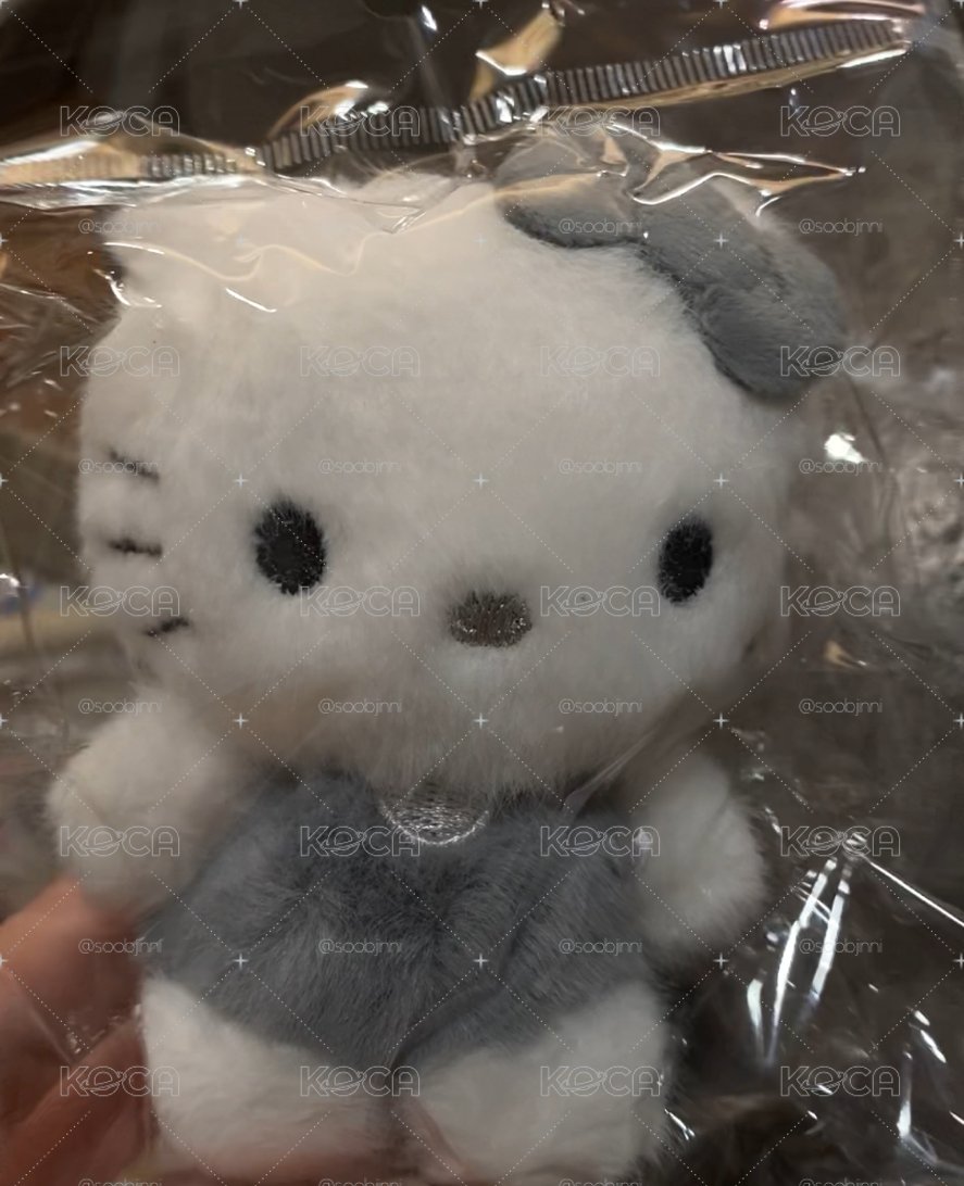 韓版sanrio 