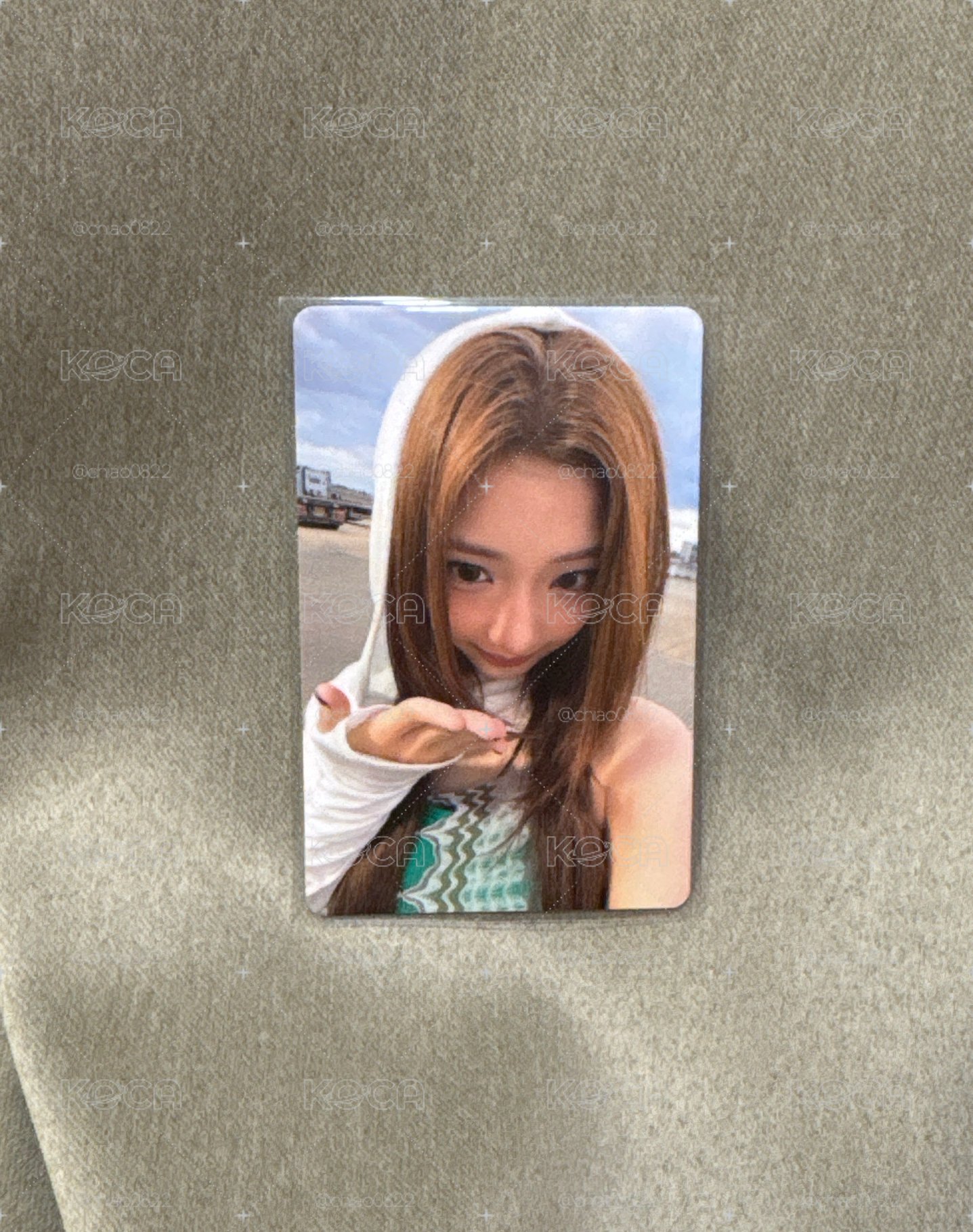 誰家的可愛露露✨