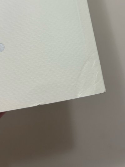 SEVENTEEN SAYS The Quote Book