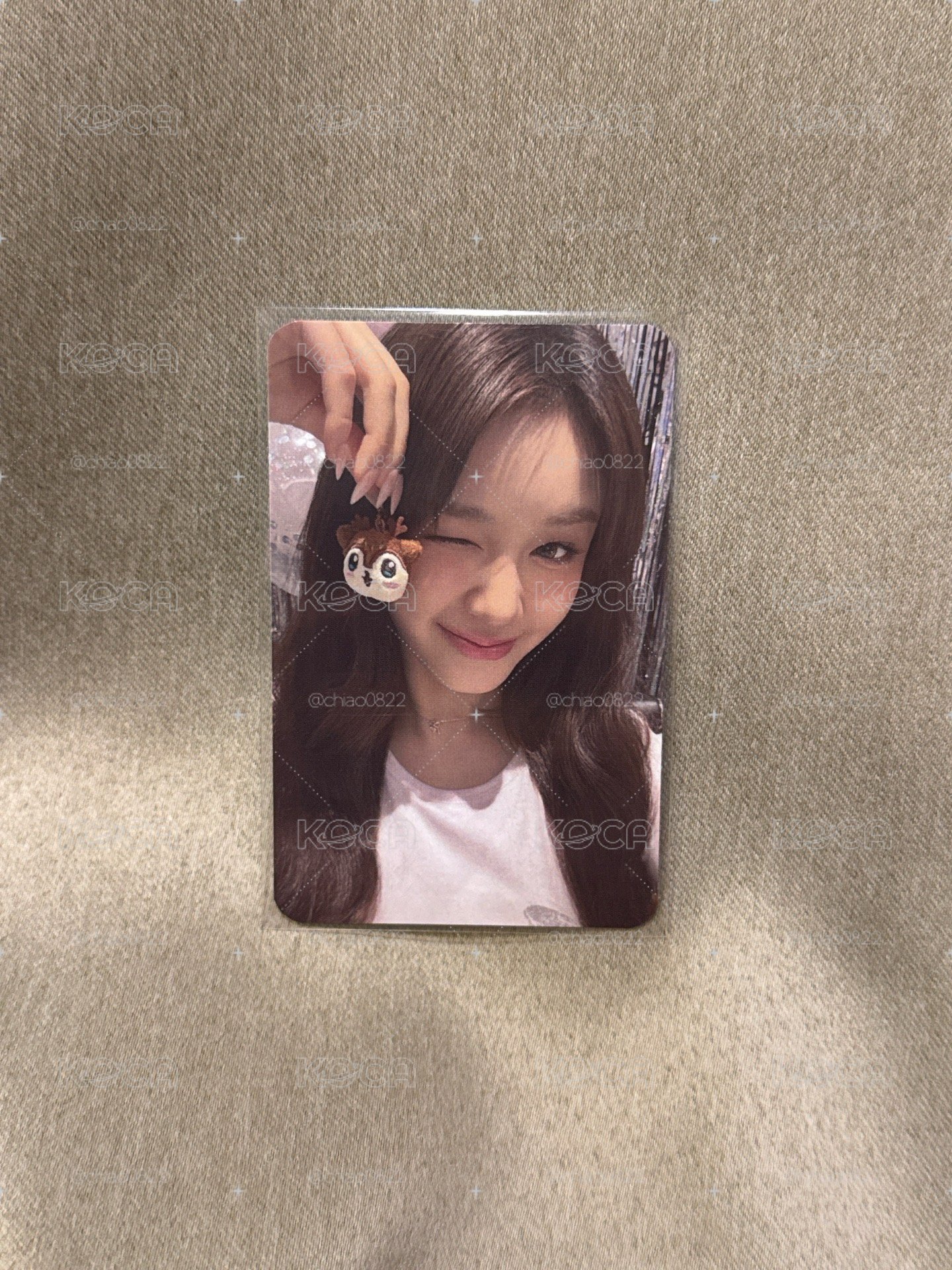 超級美萌的塔塔💗