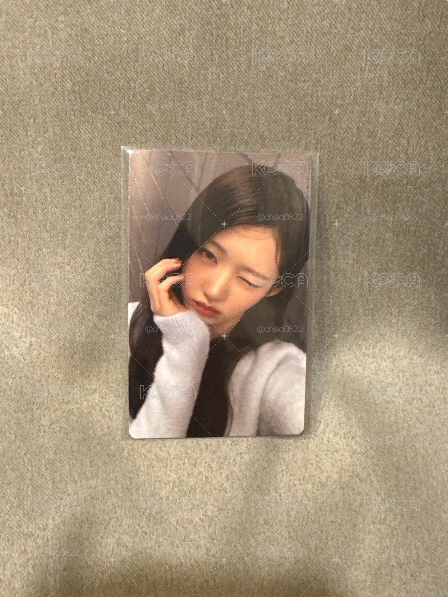 美美茶仁✨