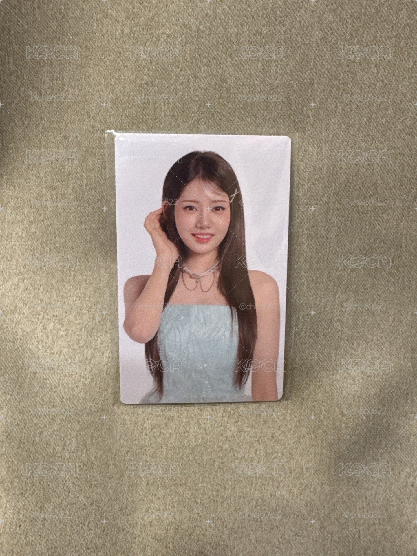 美美茶仁✨