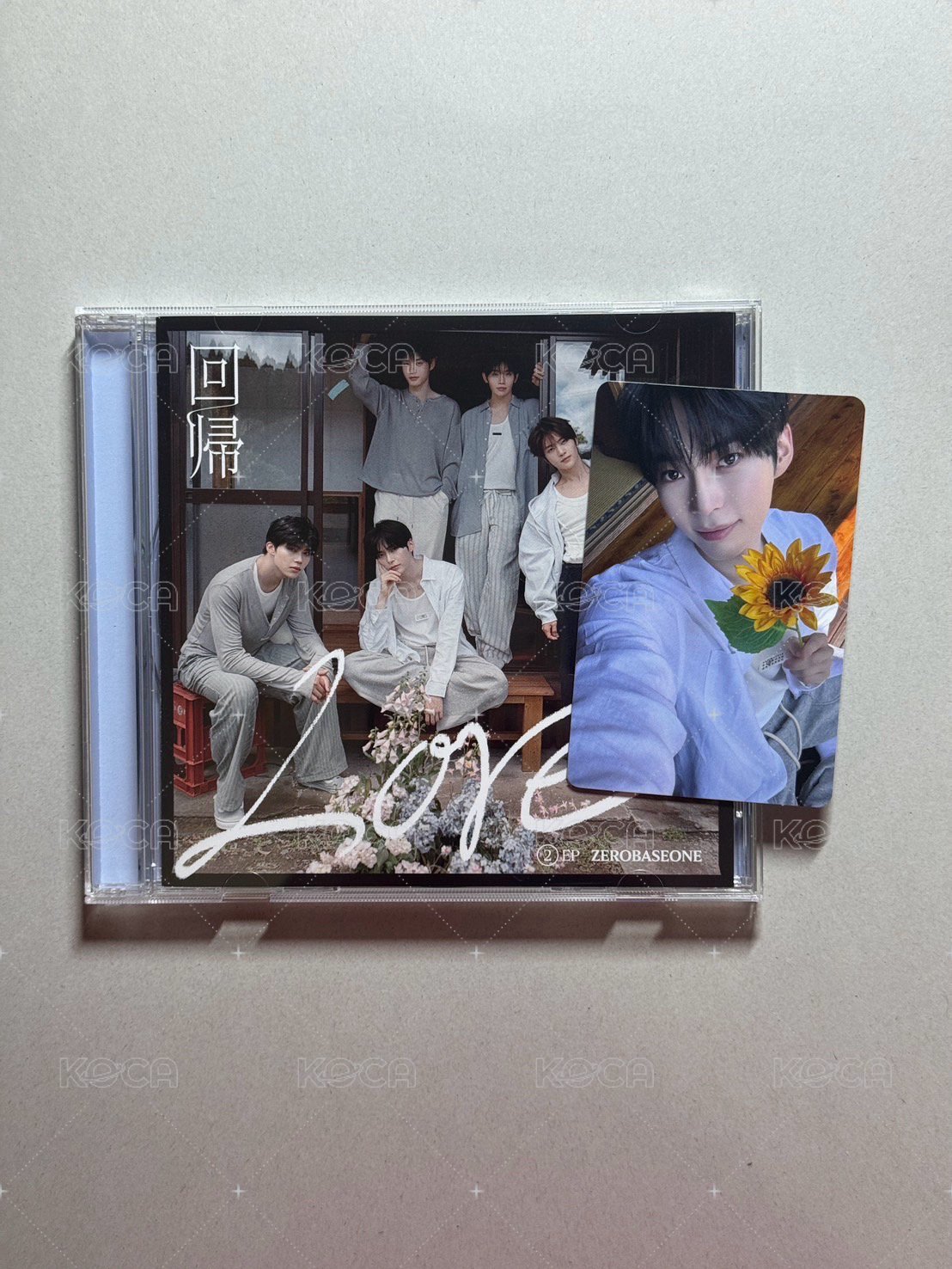 通常盤/向日葵彬