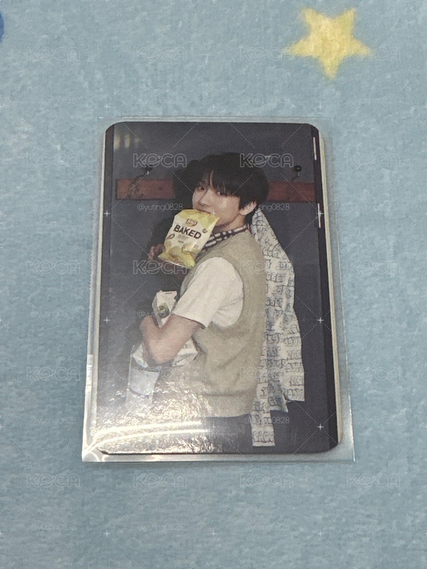 出道稀有萌萌小熊