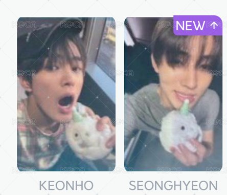 白球安+鹽