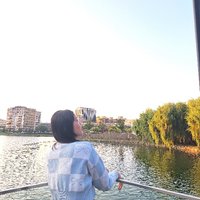 散做漫天星辰.