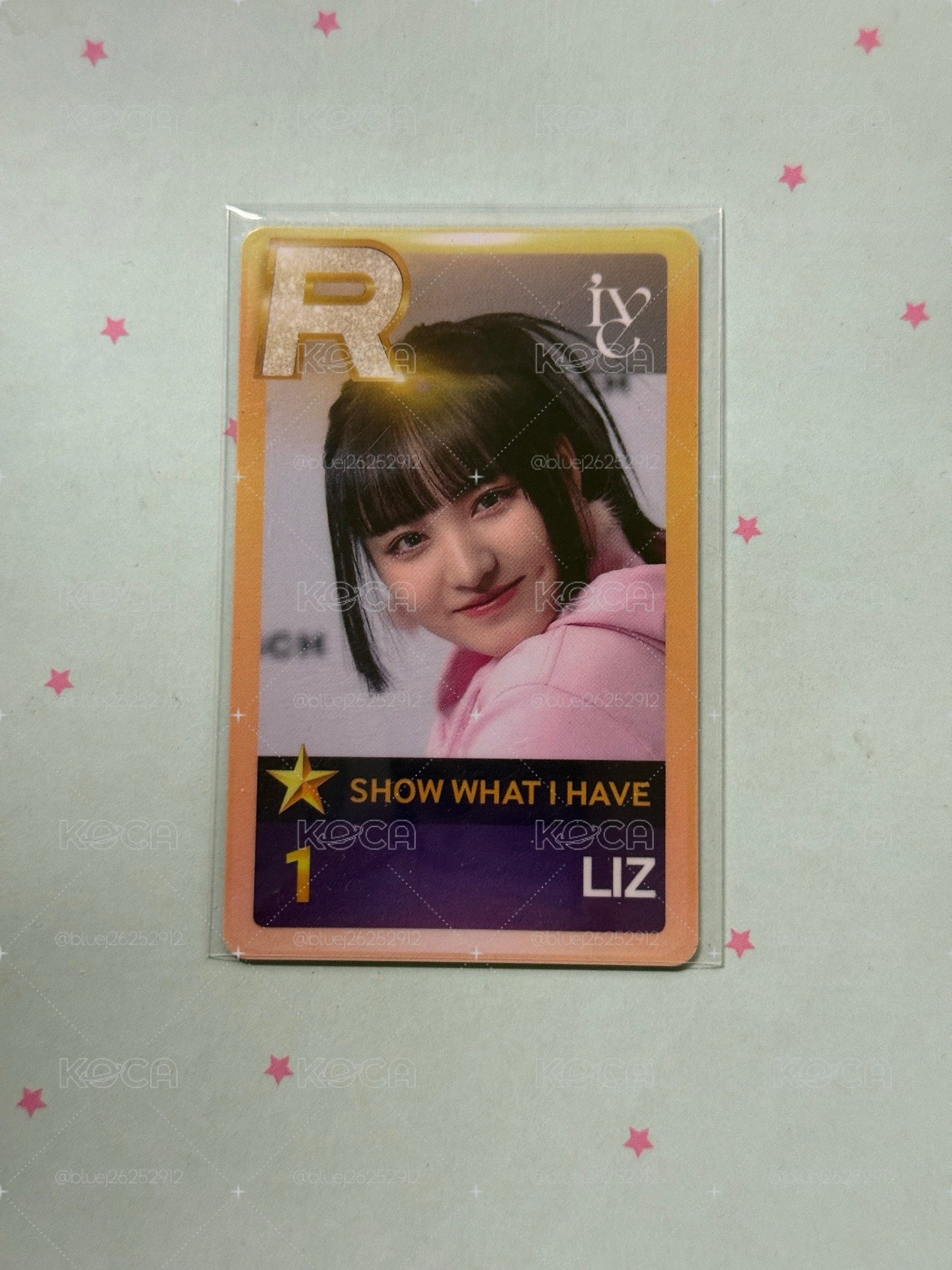 SHOW WHAT I HAVE 遊戲卡 栗