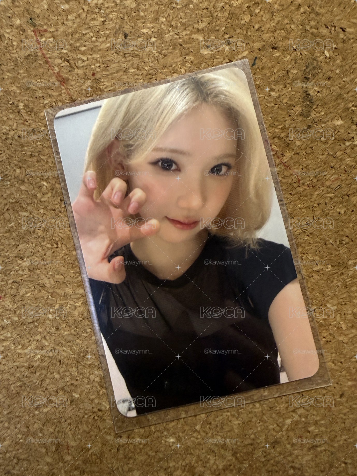 am1.0 Jiwoo
