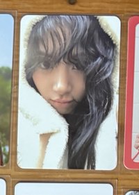 熊貓彩