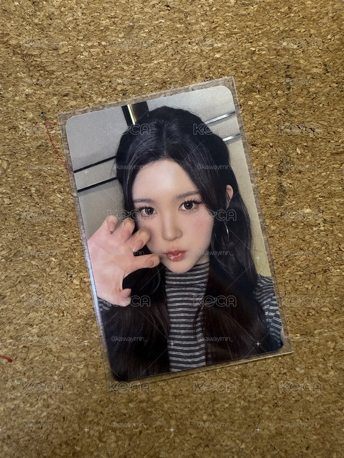 貓爪Ana