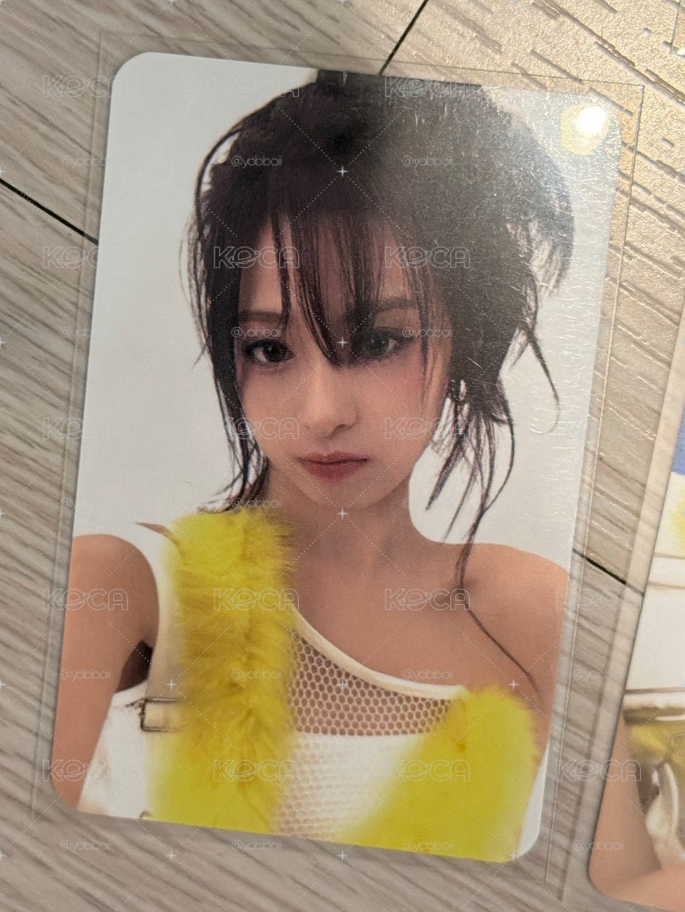 萌萌賢