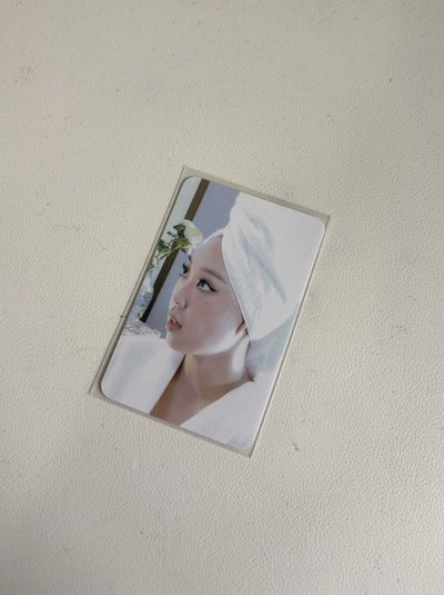 泳知小卡們
