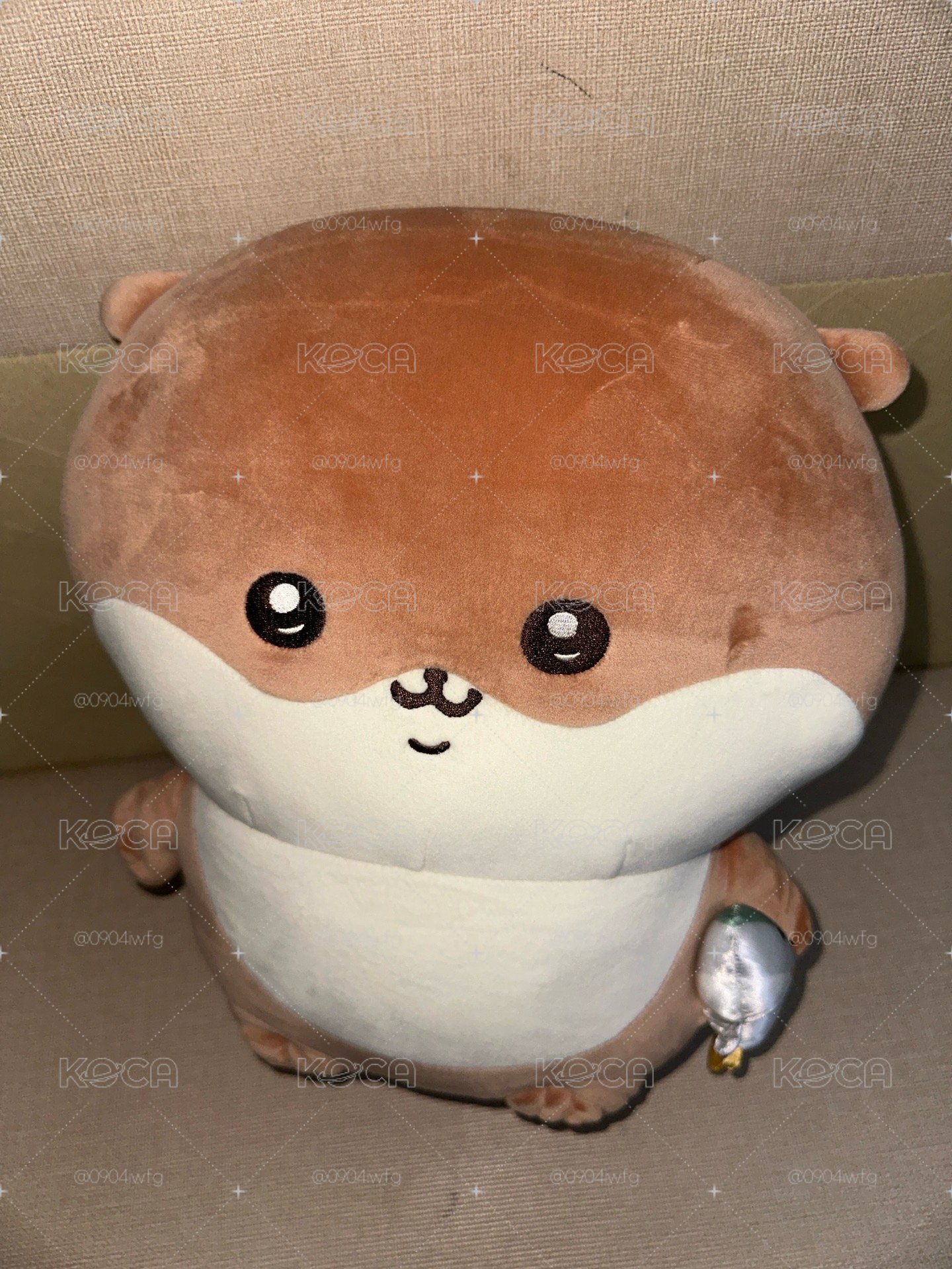 現貨水獺B賞