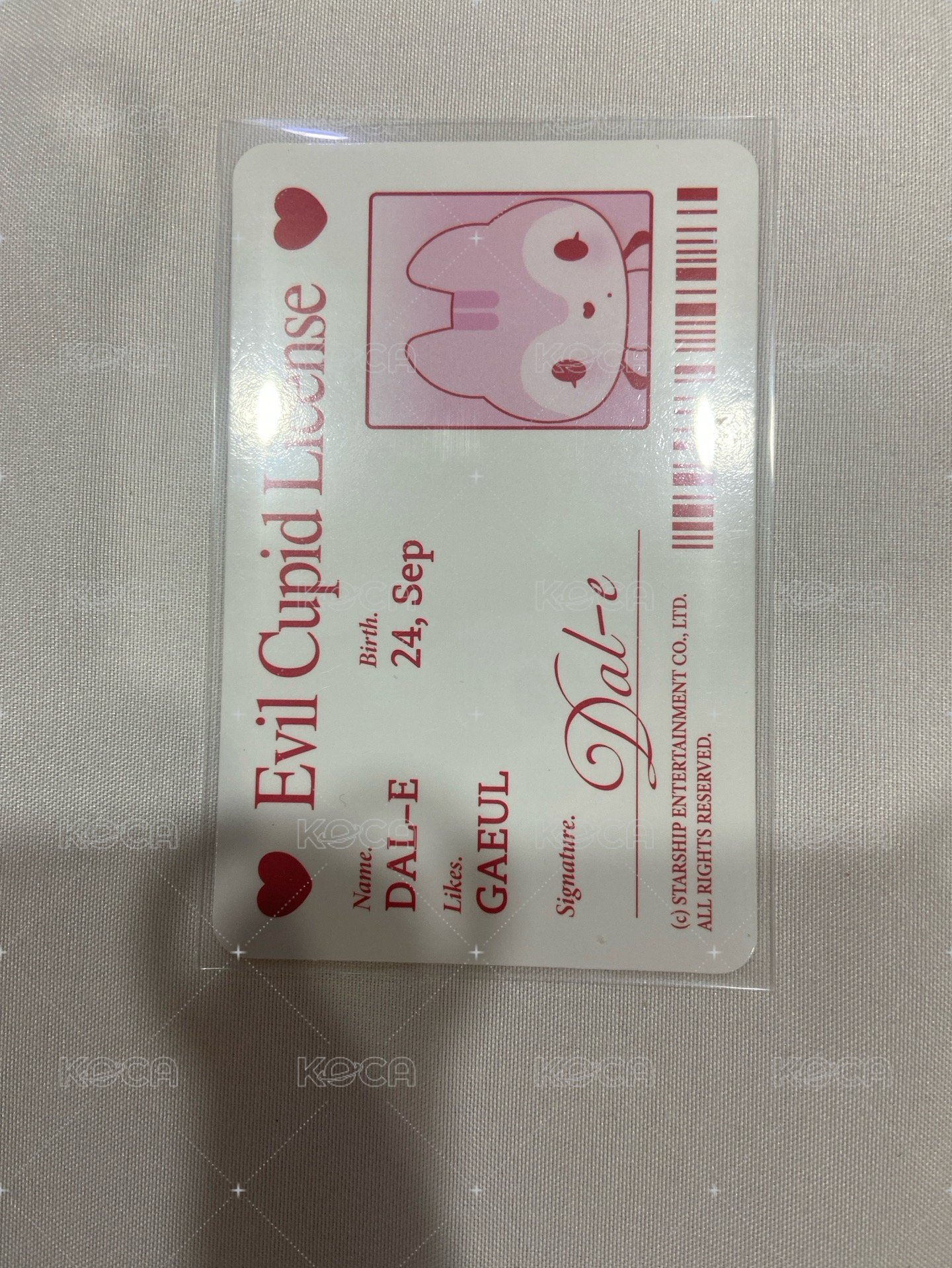 娃專秋