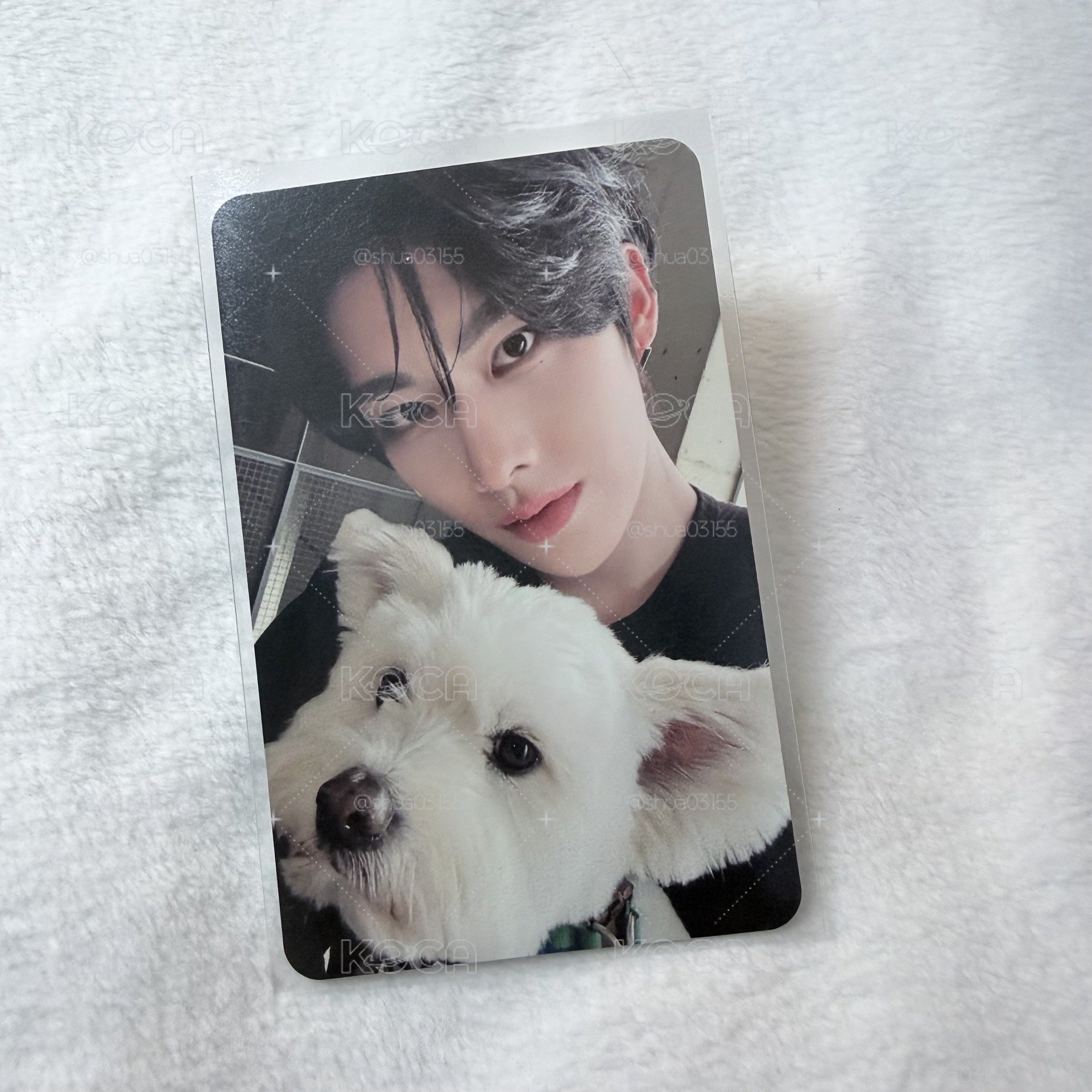 正規一 專輯卡 DIGIPACK ver. 團封 狗狗