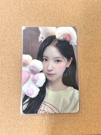 2貓抓麵（300）