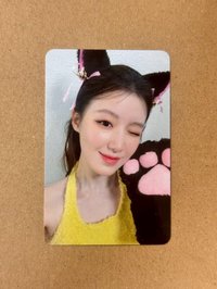 we are貓抓刷