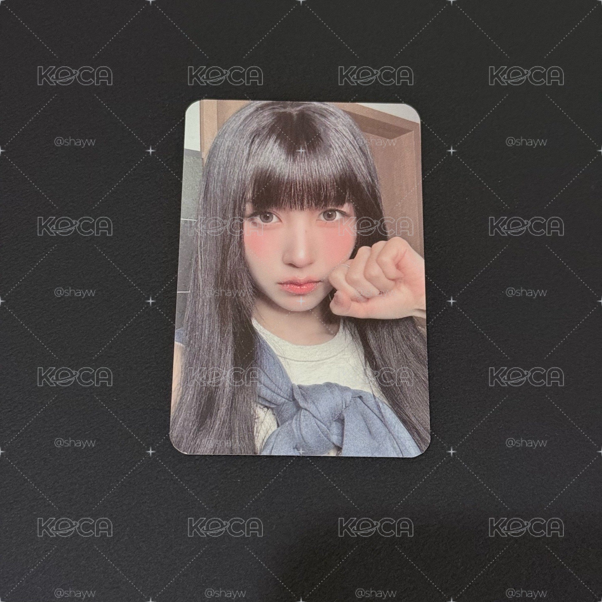 MINA 貓拳手