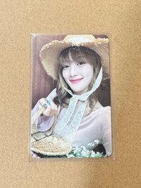 野餐妮（300）