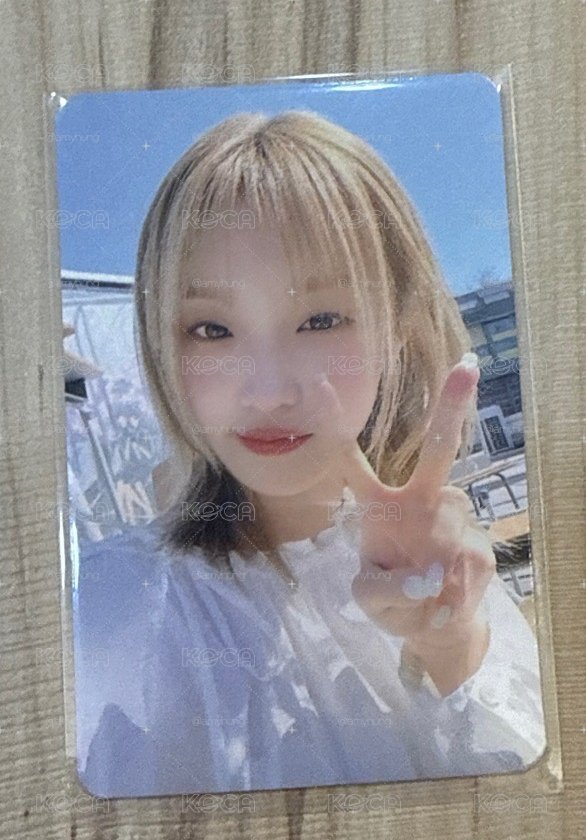 琦Fate簽售卡
