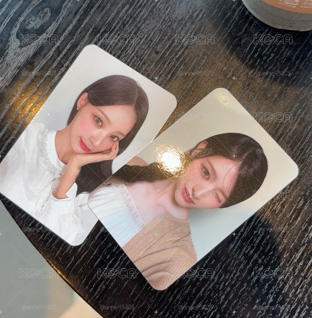 HOLLYS 代言卡 