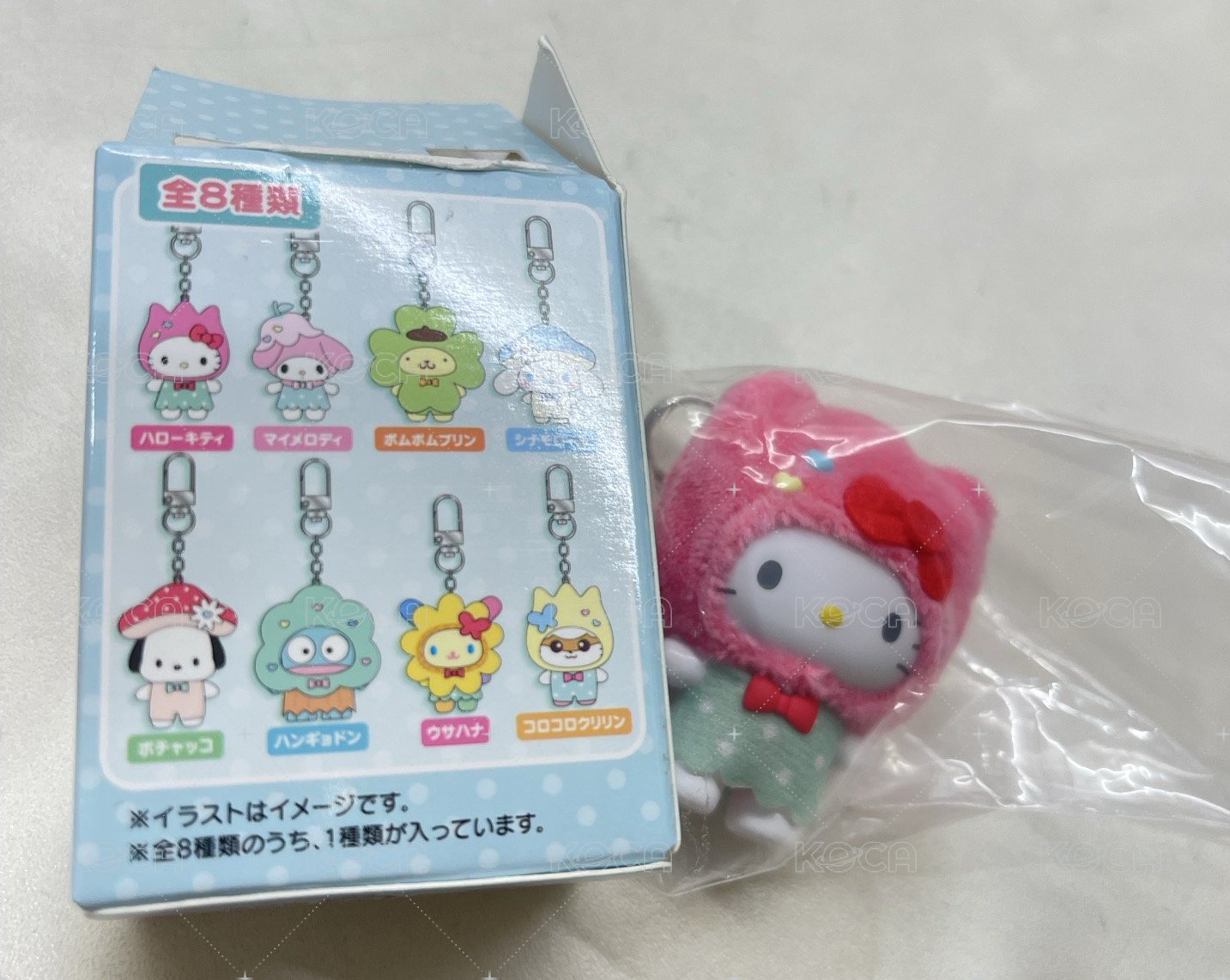 森林 kitty