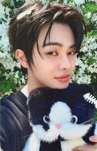 迷二 hl 小貓與魚 特典卡 