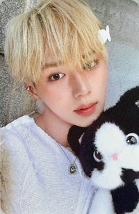 迷二 hl 小貓與魚 特典卡 