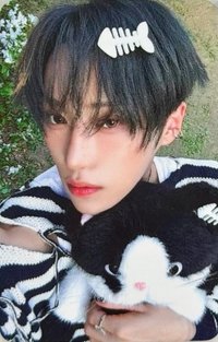 迷二 hl 小貓與魚 特典卡 