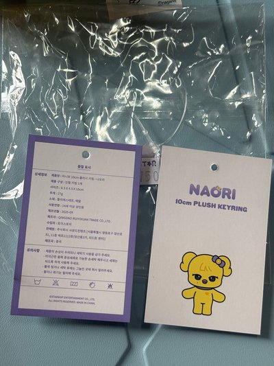 IVE REI NAORI 10cm鑰匙圈娃娃