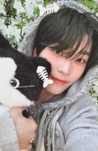 迷二 hl 小貓與魚 特典卡 