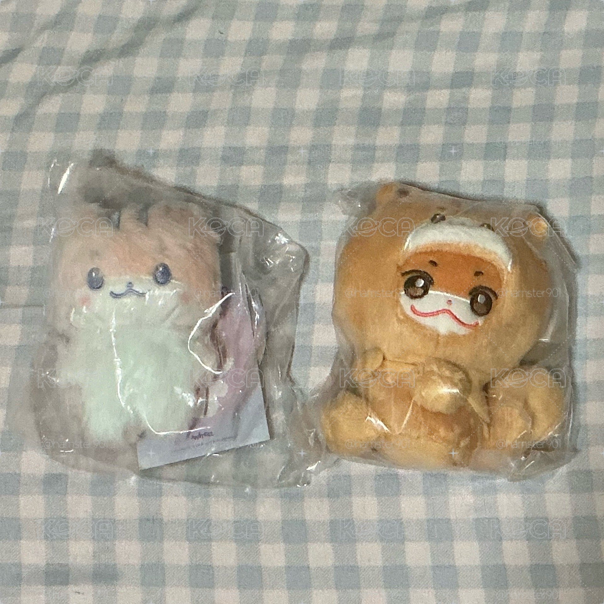 ATEEZ 弘中混色娃+頭套娃
