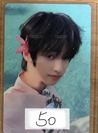 堡泳池別花