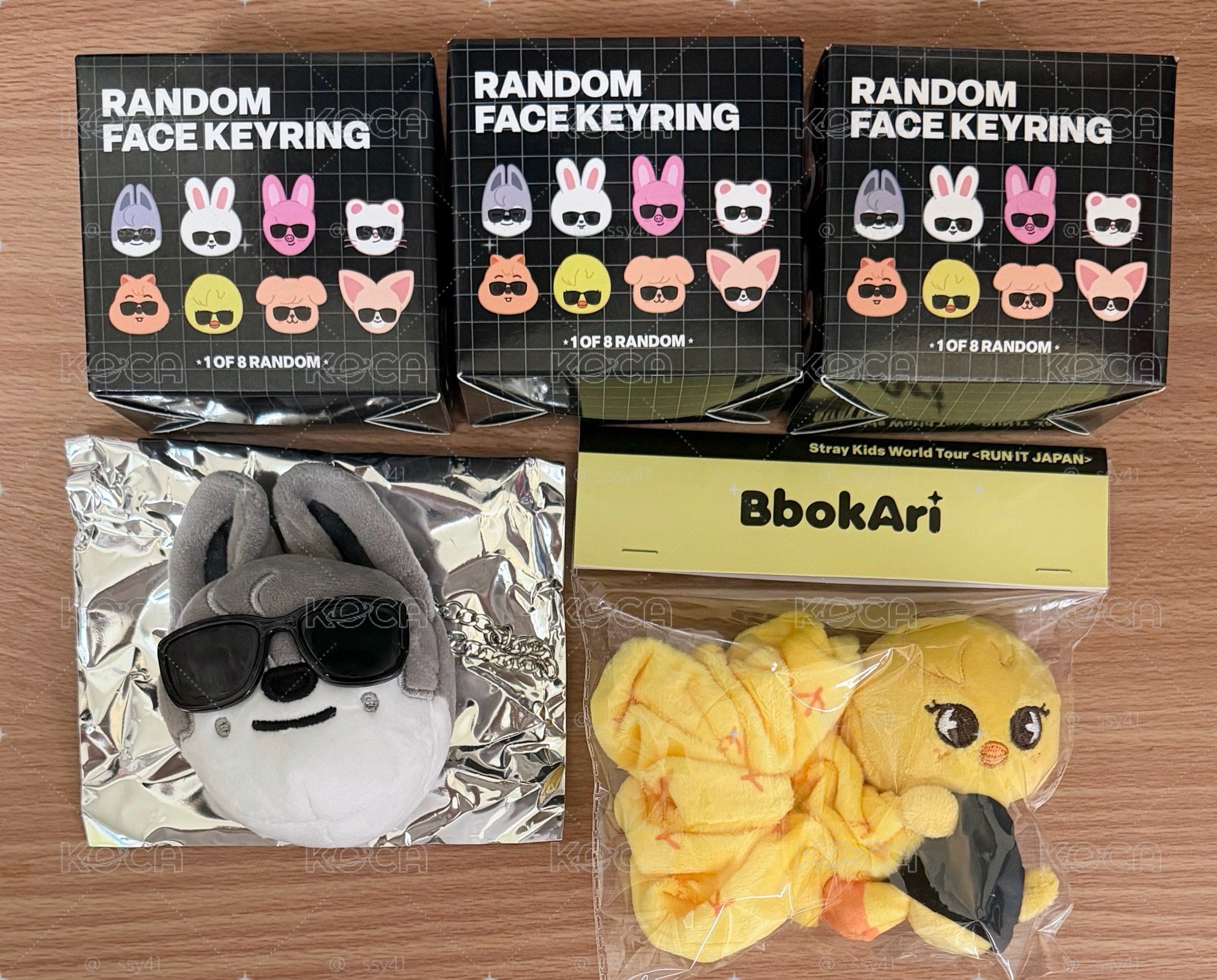 SKZ 世巡日周