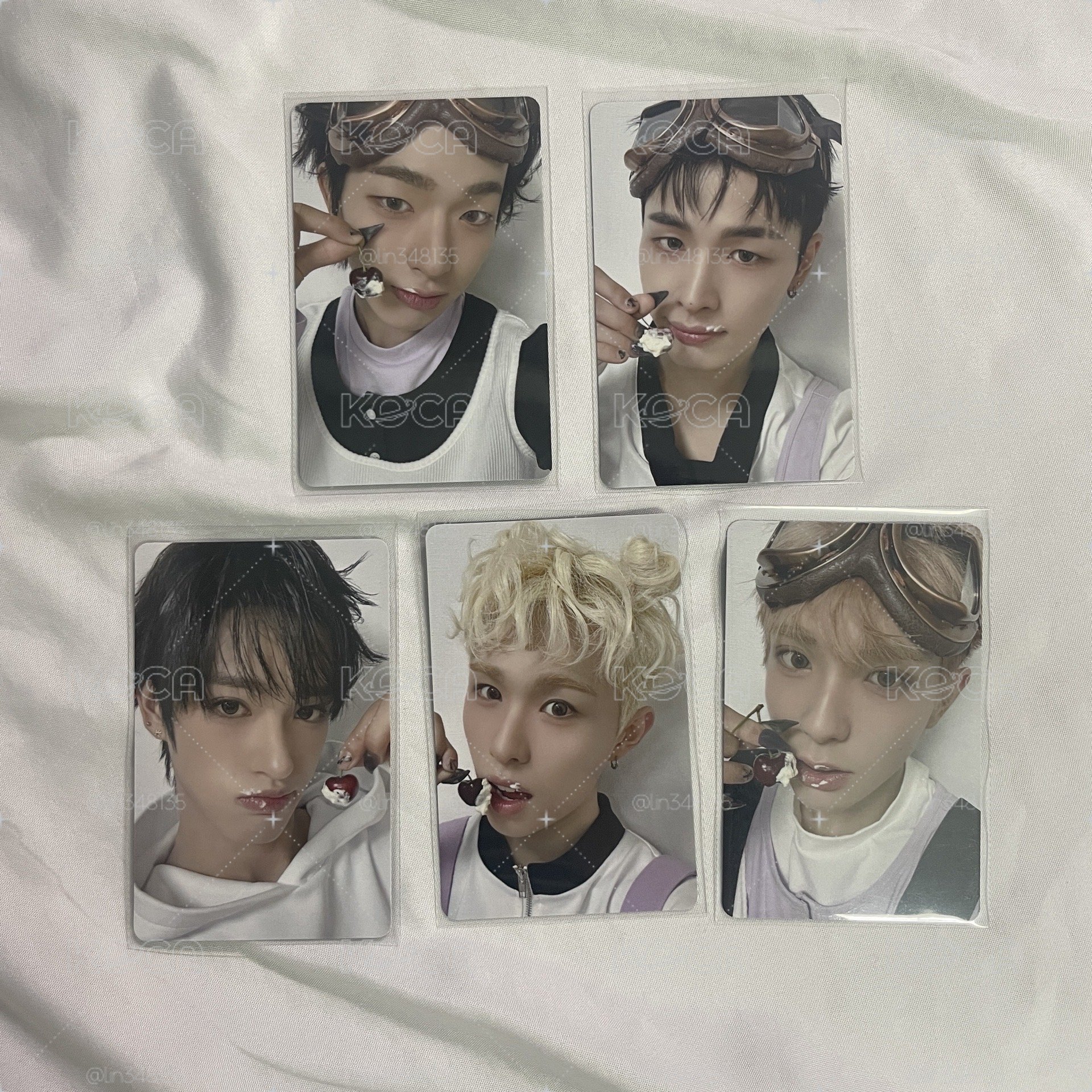 五張一起 🐧🐻‍❄️🦌🐿️🦦 Hellmate 塔店