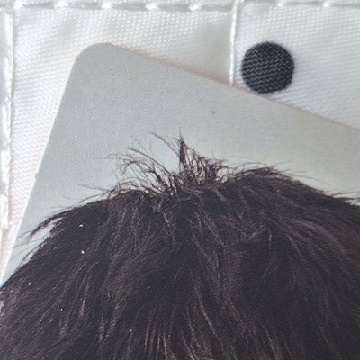 球專 骰專 迷一s3全專set