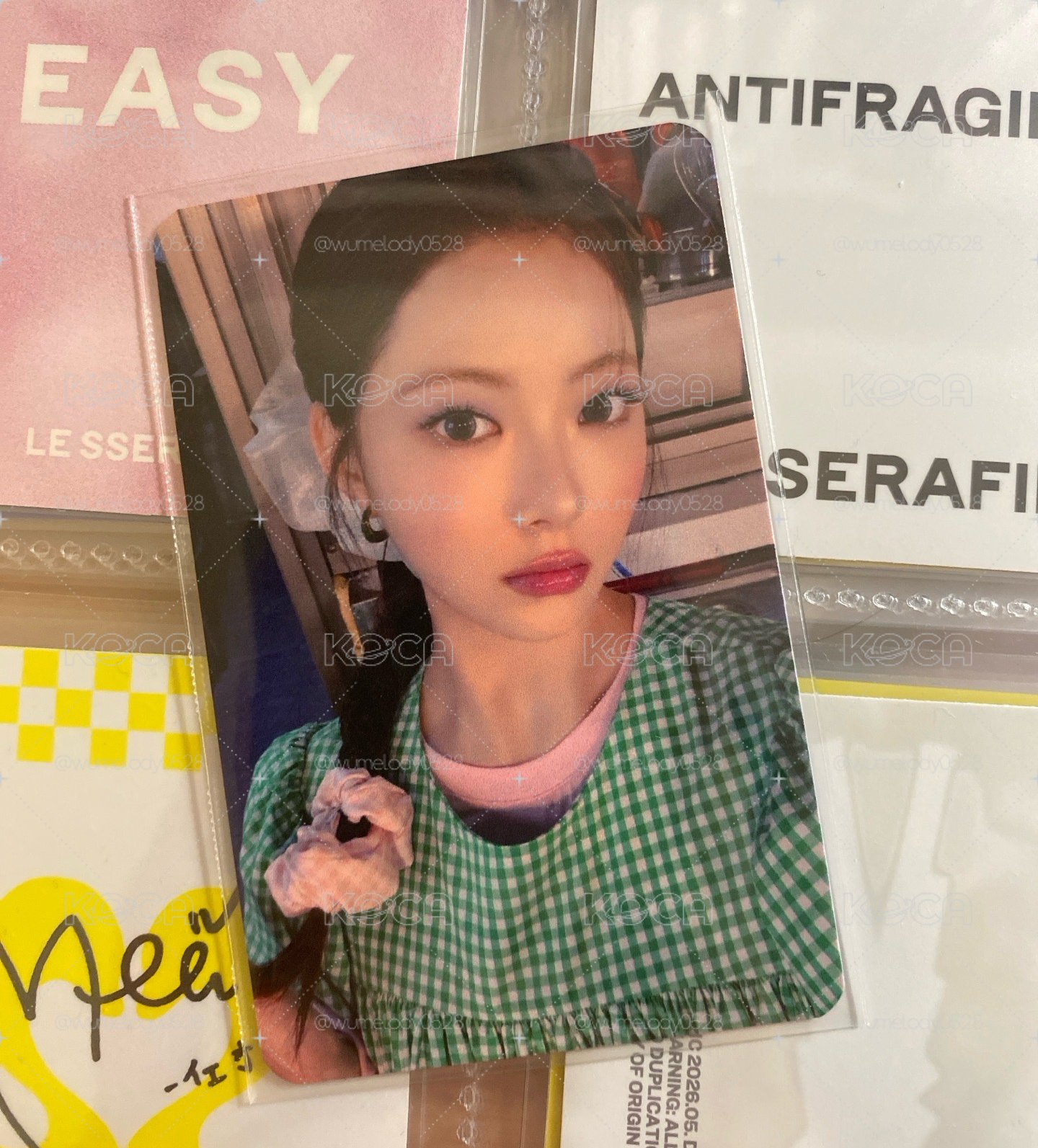 sw預售採