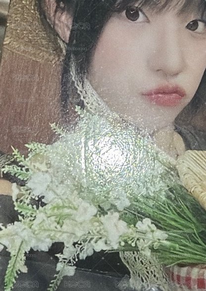 有大損 隨緣出