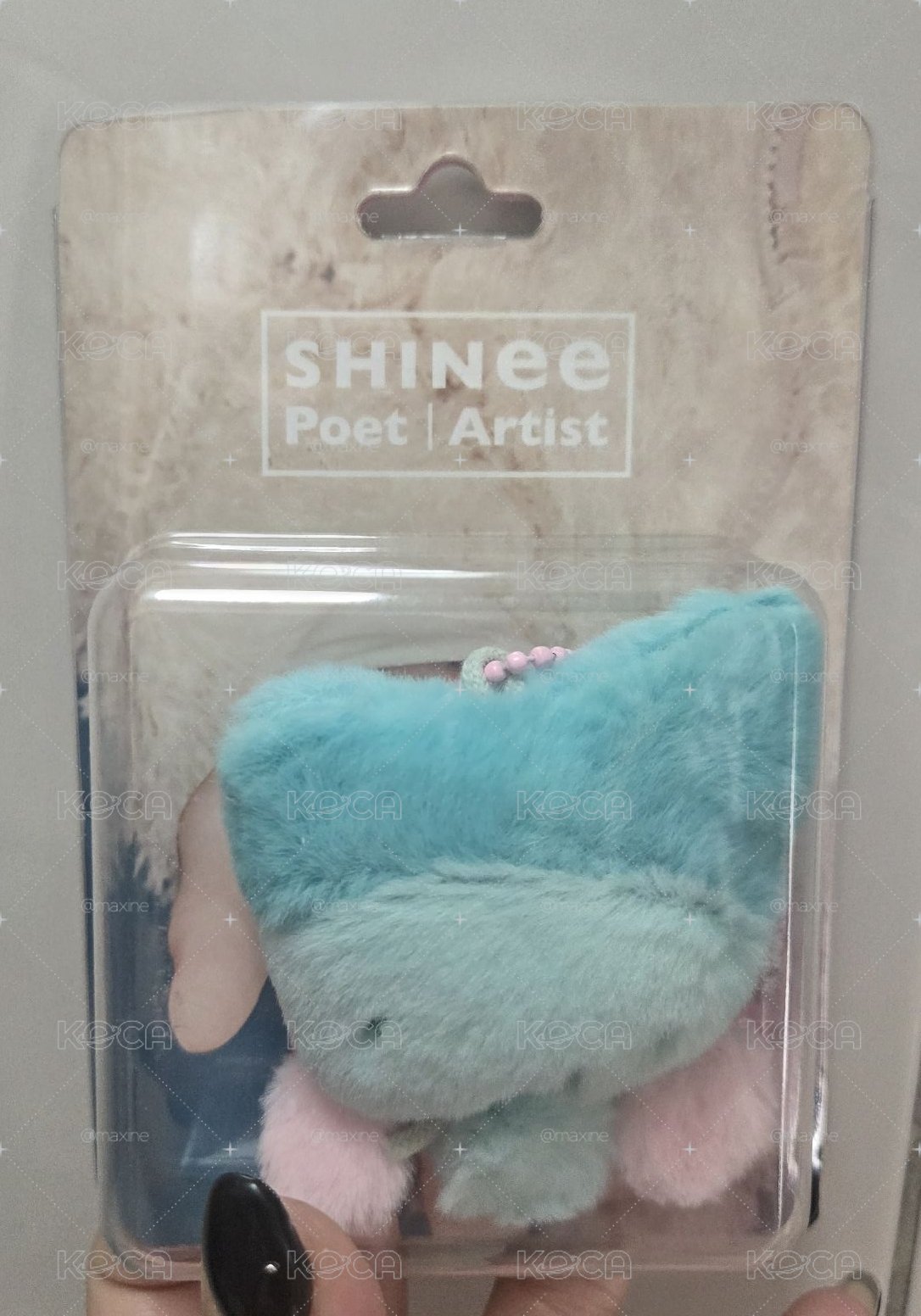 SHINee 娃專