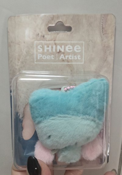 SHINee 娃專