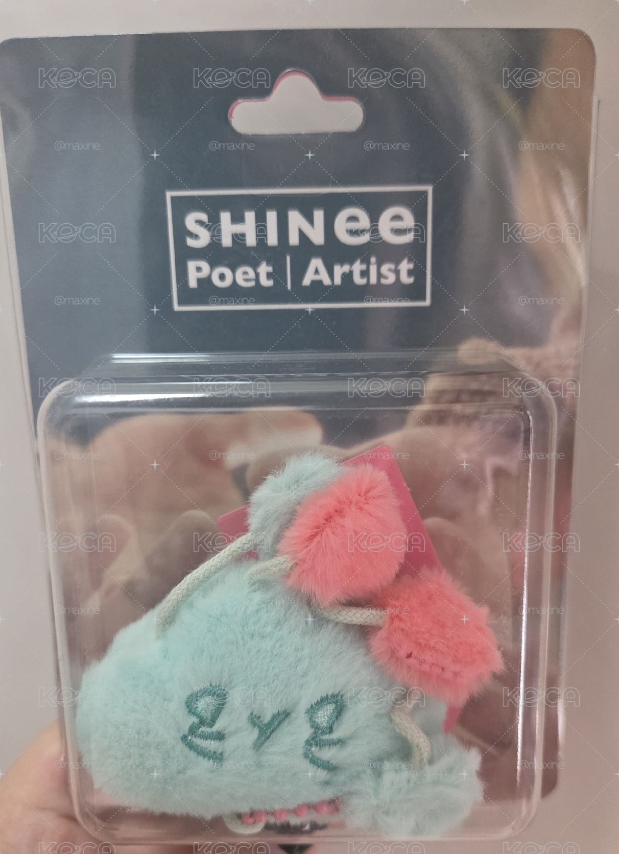 SHINee 娃專