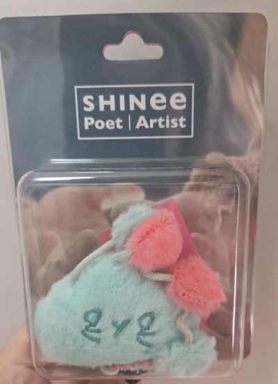 SHINee 娃專