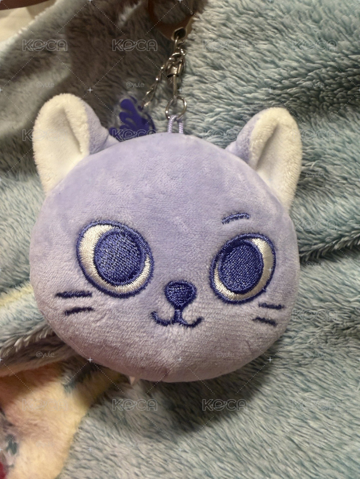 catbbi中毒娃