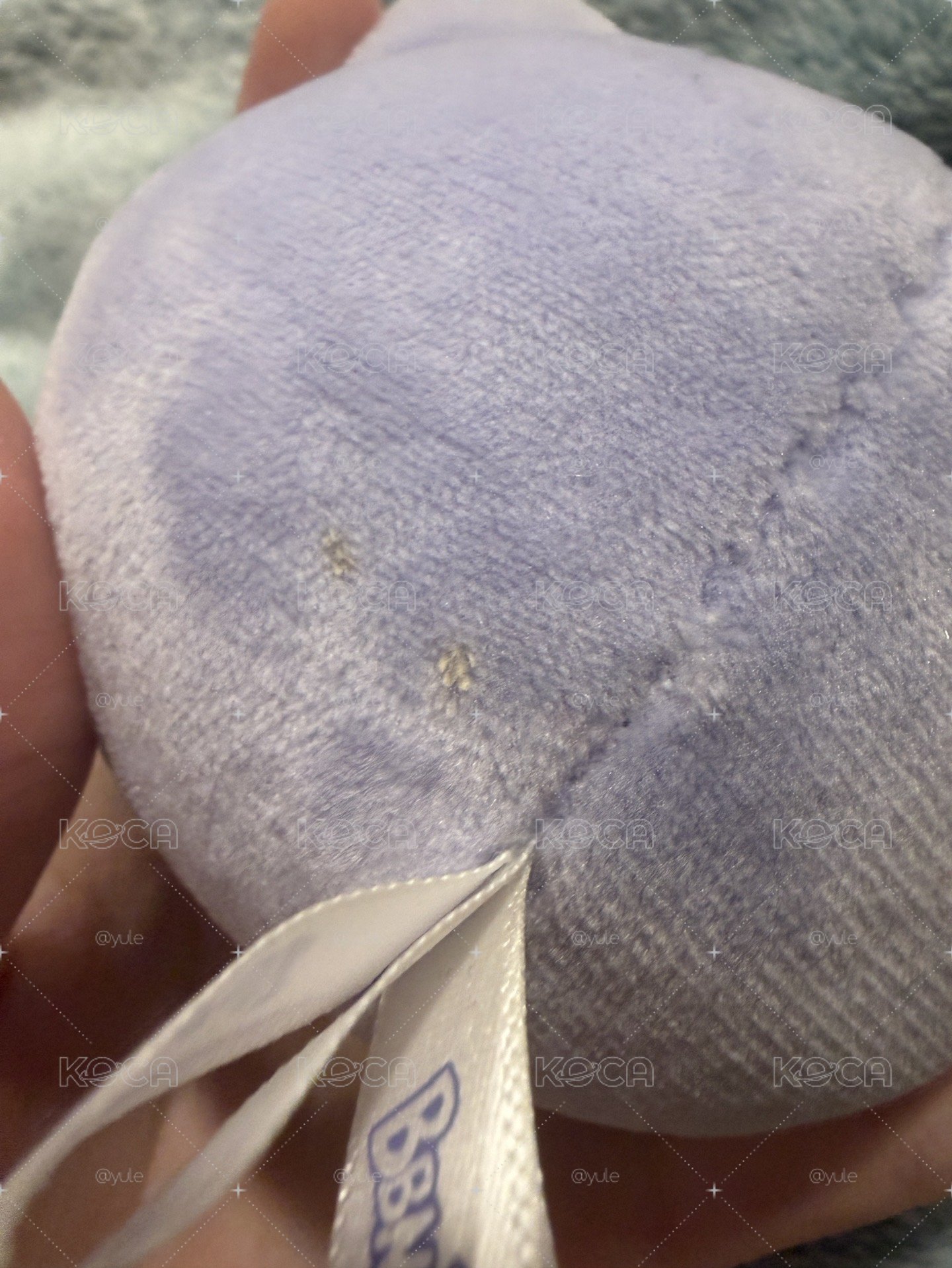 catbbi中毒娃
