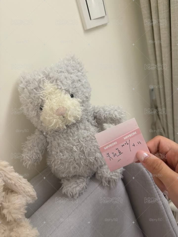 絕版little cat