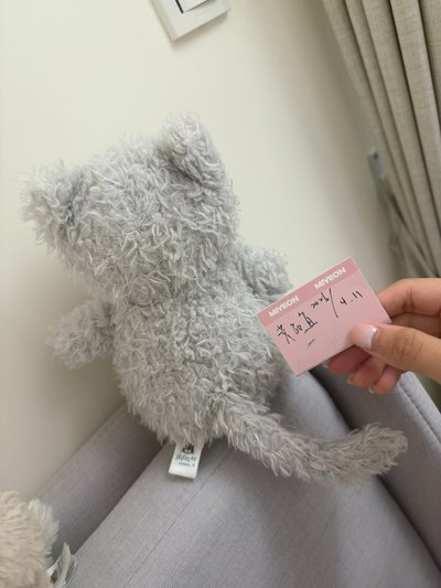 絕版little cat