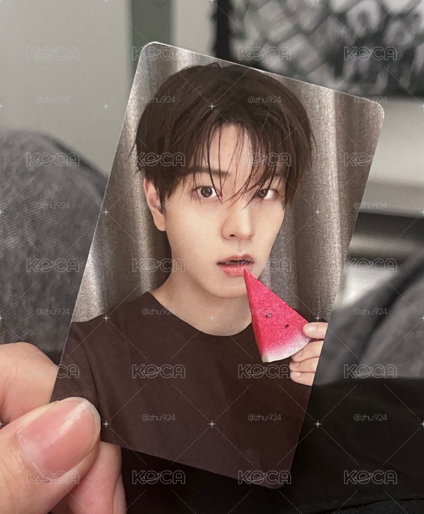 金小狗fans特典