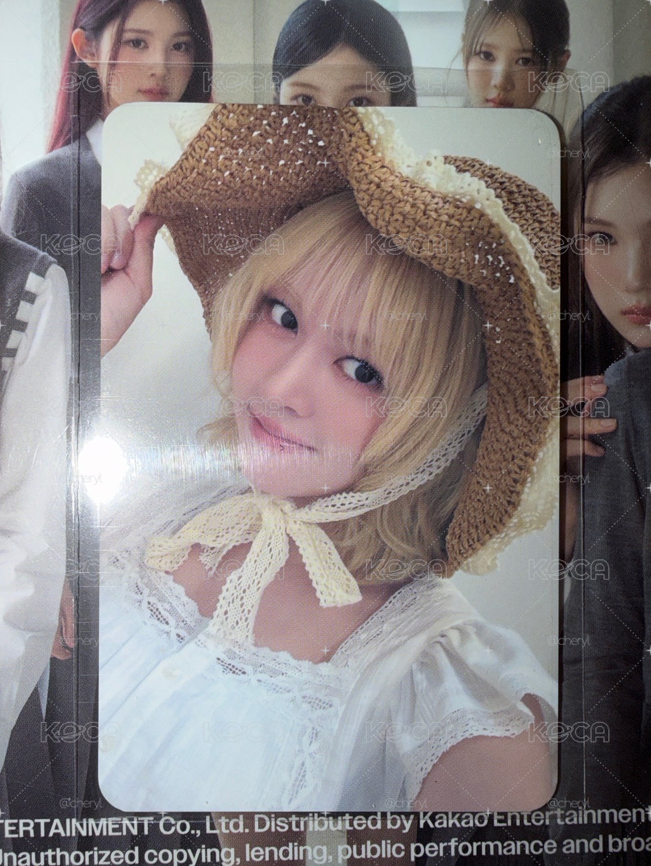 lily 草帽