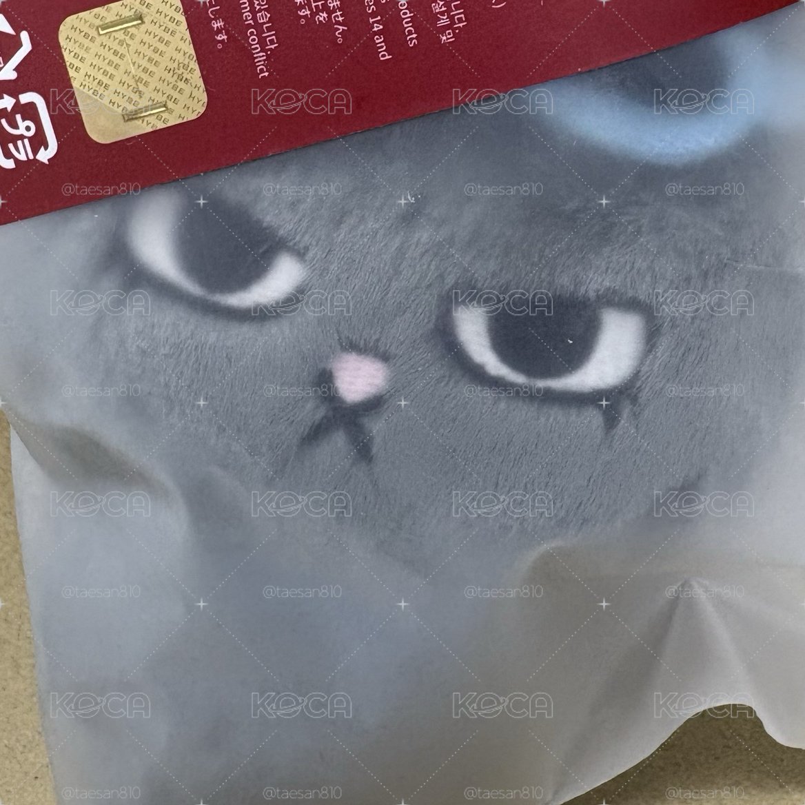 二代娃 漢泰豐